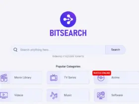 BitSearch