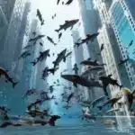 Sora OpenAI Video Generator