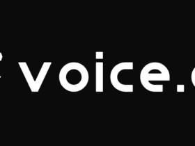 Voice.ai