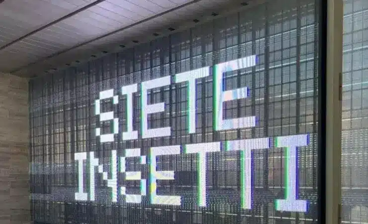 Site Insetti