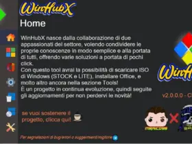 WinHubX