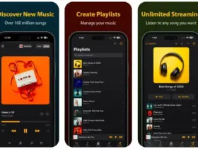Demus Easy Music Streaming