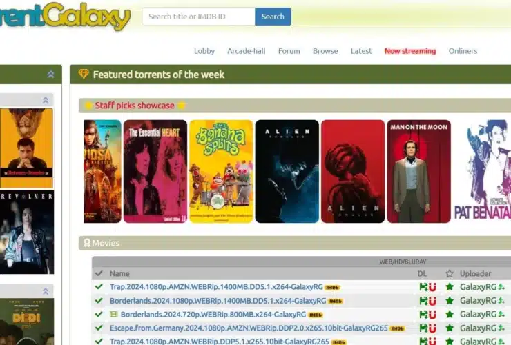 TorrentGalaxy