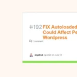 Autoloaded Options Could Affect Performance Wordpress