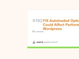 Autoloaded Options Could Affect Performance Wordpress