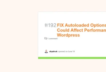 Autoloaded Options Could Affect Performance Wordpress
