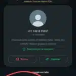 Posso Parlare un attimo WhatsApp