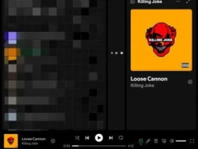 Spotifuck