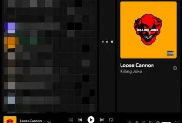 Spotifuck