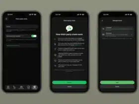 WhatsApp App Terze Parti