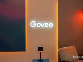 Govee Logo