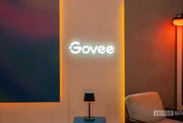 Govee Logo