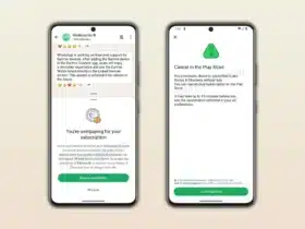 Prezzo WhatsApp a Pagamento