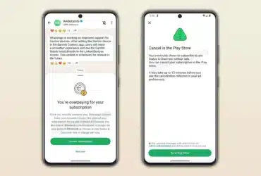 Prezzo WhatsApp a Pagamento