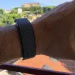 Google Fitbit Air (2)