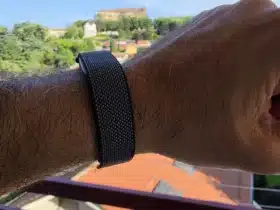 Google Fitbit Air (2)