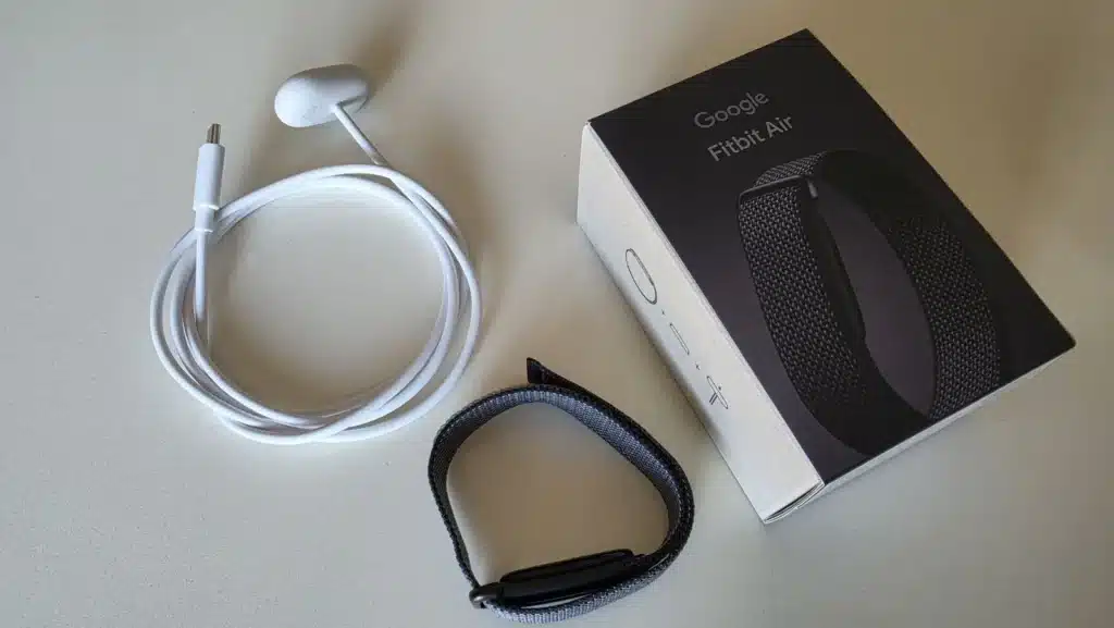 Google Fitbit Air (6)