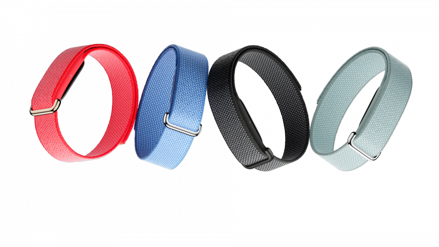 Google Fitbit Air