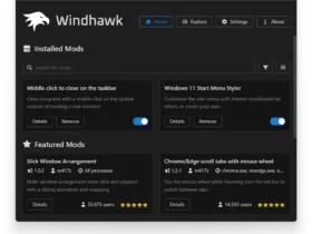 Windhawk