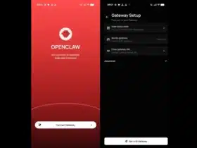 App OpenClaw