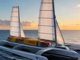 Navi Vela DHL