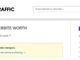 Site Worth Traffic
